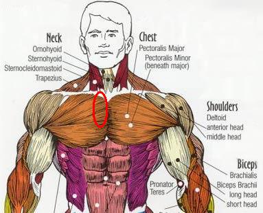 chestbig.jpg