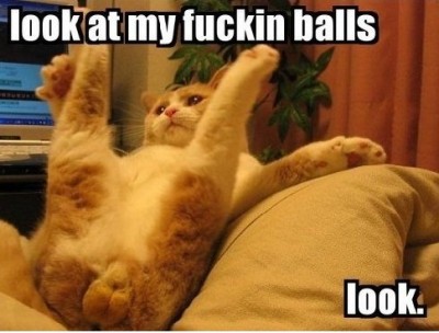 look at my balls.jpg
