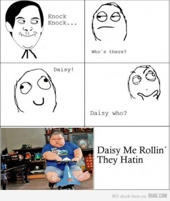 daisyrolling.jpg