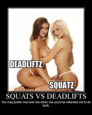 deadløft vs squat.jpg