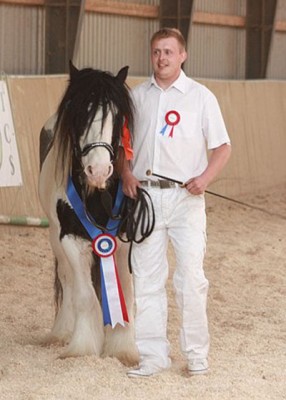 champion_hingst.jpg