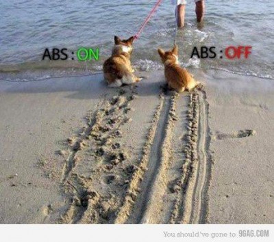 abs.jpg