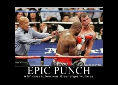 Demotivational-pictures-epic_Punch451.jpg