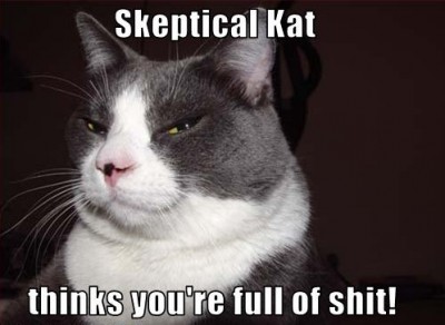 CAT.jpg
