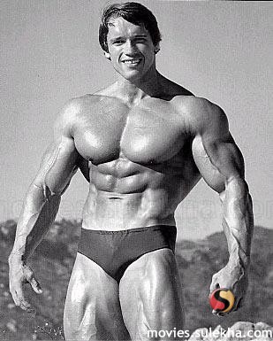 arnold schwarzenegger.jpg