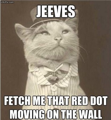 Funny_Pictures_116714.jpg