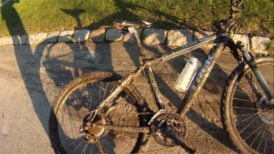 Cykel-Gauerslund skov2.png
