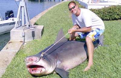Bull Shark3.jpg