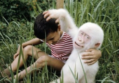 albino-animals-4.jpg