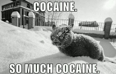 cocaine.jpg