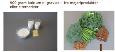 Mælk 2.jpg