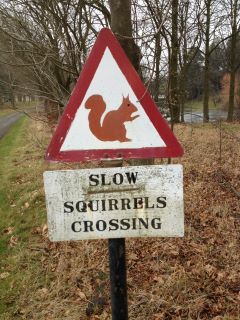 slow.jpg