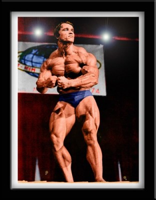 arnold-schwarzenegger-20060409-120640.jpg