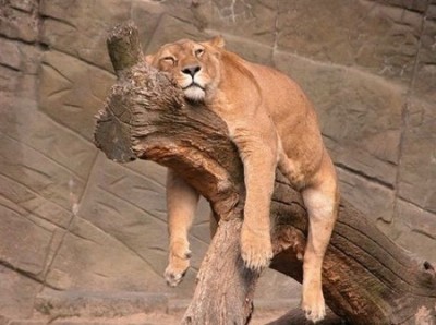 boring-day.jpg