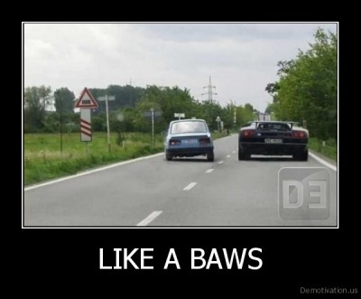 demotivation.us_LIKE-A-BAWS-_131681734851.jpg