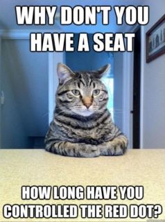 Cat Red Dot.jpg