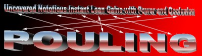 PoulingBanner.jpg
