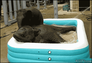 couple_shower.gif