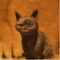 Kony+the+Ugandan+hero+is+back+there+ll+be+trouble+_a1e9865c4e6ec1b5a792224d9ccf11b1.gif