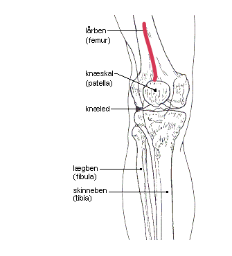 Image-1836855863.png