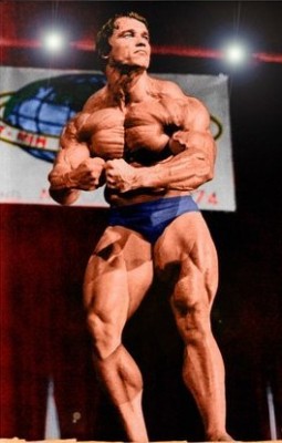 arnold-schwarzenegger-20060409-120640.jpg