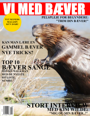vimedbaever1stedt.png