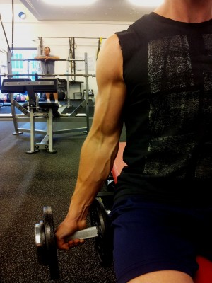 Front biceps veins.jpg