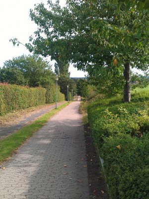 IMAG0207.jpg