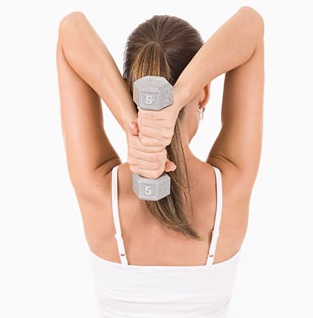 triceps.jpg