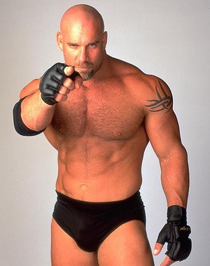 bill-goldberg-2.jpeg