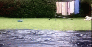 slide_400.gif