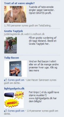 Udklip4.JPG