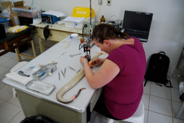 brasilien 2009 043.jpg