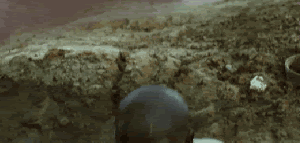 Rawr.gif