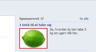 Udklip.JPG