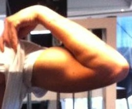 Gunshow.jpg