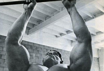 arnold-pull-ups.jpg