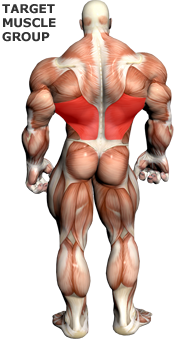 Lats.png