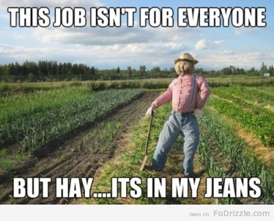 Scarecrow-Wordplay.jpg