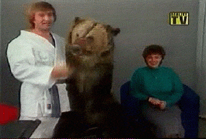 bear.gif