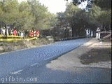 rally.gif
