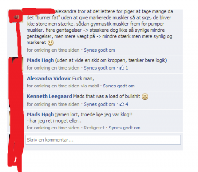 Udklip.PNG