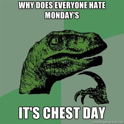 Why does everyone hate mondays its chest day.jpg
