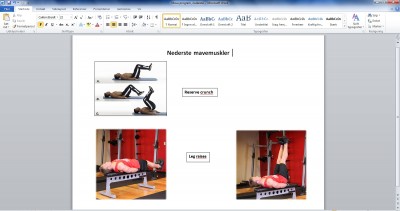 Mave program, nederste.jpg
