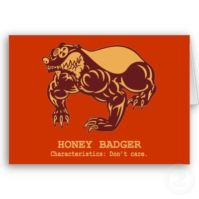 honey_badger_characteristics_card-p137534911094949194envwi_400.jpg