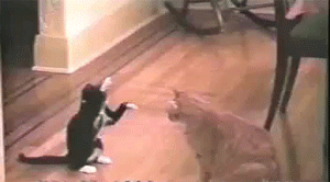 bank.gif