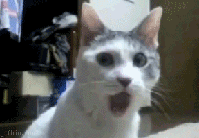 MFW+i+look+around+the+science+channel_80792f_3746163.gif
