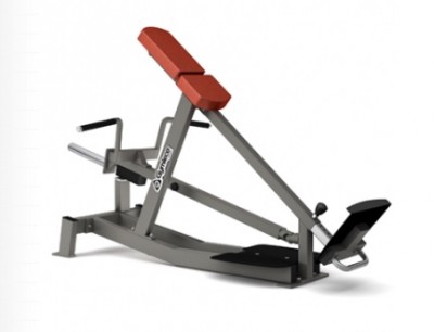 chest support row.jpg