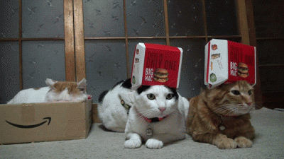 nu.gif