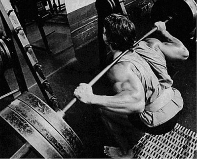 arnold squat.jpg